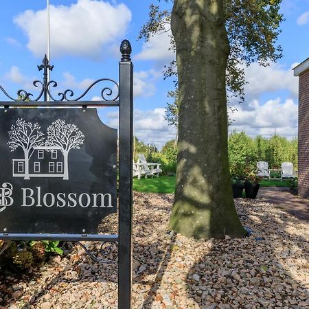 B&B Blossom Lisse Bagian luar foto