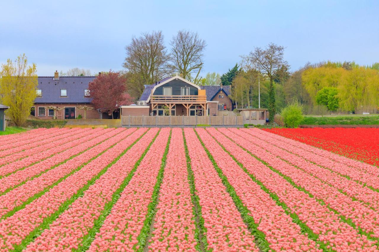 B&B Blossom Lisse Bagian luar foto